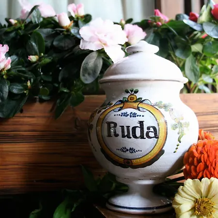 Val De Ruda Hotel